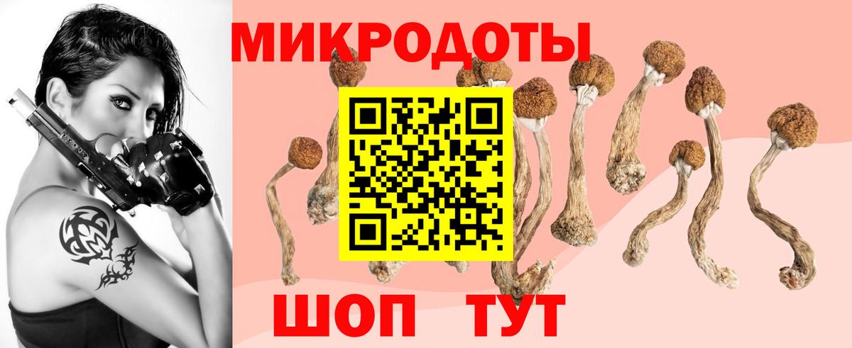 Мыски  Галлюциногенные грибы Psilocybine cubensis  Галлюциногенные грибы мицелий  Вход с VPN 
