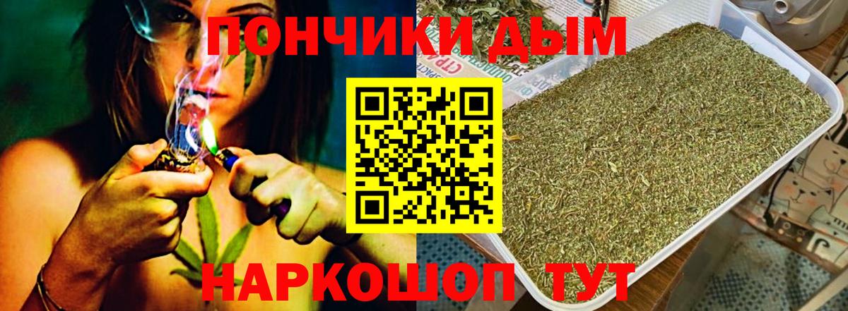 Шишки марихуана план  Вход с VPN  Мыски  Конопля ГИДРОПОН 